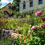 Landhotel Gut Wildberg Mit Badeteich Und Grossem Garten 3*