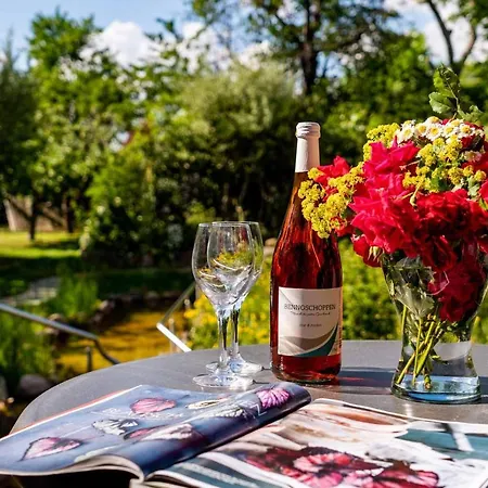 Gut Wildberg Mit Badeteich Und Grossem Garten Hotel Meißen