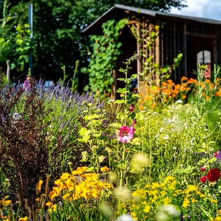 Hotel Landhotel Gut Wildberg 3*