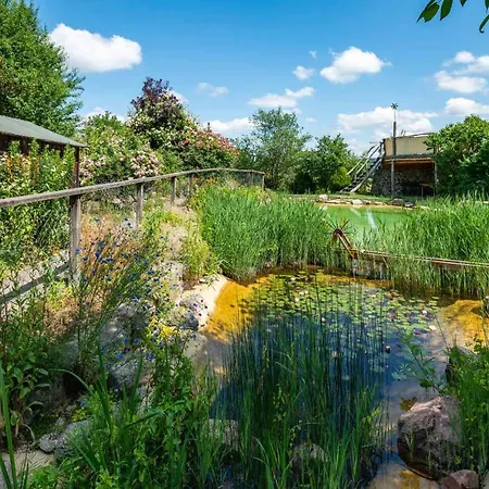 Gut Wildberg Mit Badeteich Und Grossem Garten 3* Meißen