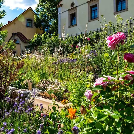 Gut Wildberg Mit Badeteich Und Grossem Garten 3*
