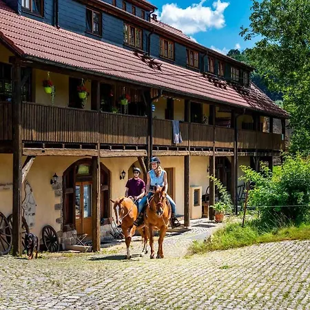 Gut Wildberg Mit Badeteich Und Grossem Garten