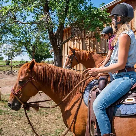 Gut Wildberg Mit Sauna