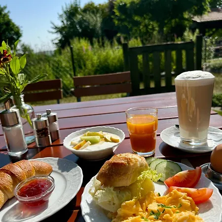 Gut Wildberg Mit Badeteich Und Grossem Garten Hotell Meißen