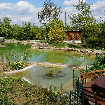 Gut Wildberg Mit Badeteich Und Grossem Garten 3* Meißen