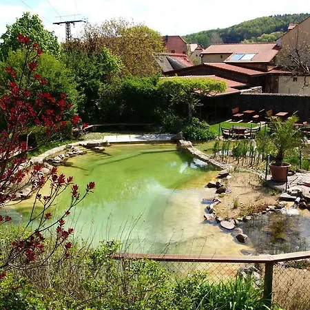 Hotel Landhotel Gut Wildberg Meissen