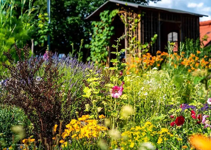 Hotel Landhotel Gut Wildberg Mit Badeteich Und Grossem Garten 3*