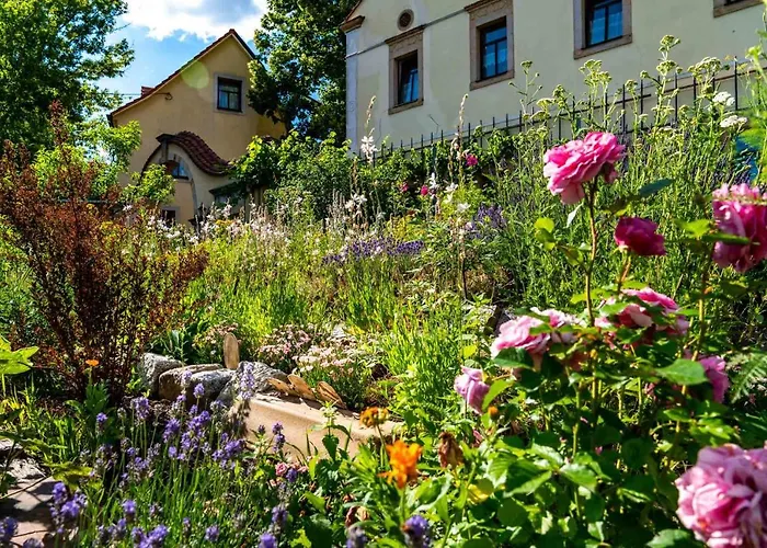 Landhotel Gut Wildberg Mit Badeteich Und Grossem Garten 3*