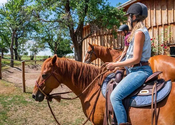 Landhotel Gut Wildberg Mit Badeteich Und Grossem Garten