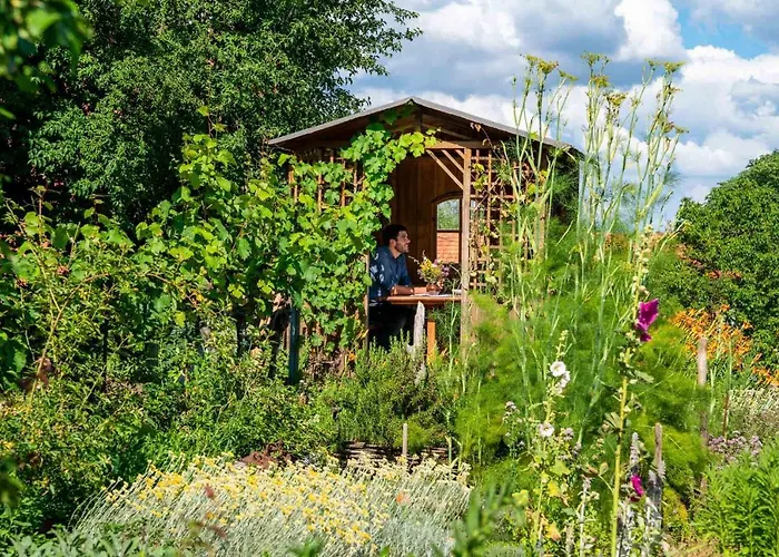 Hotel Landhotel Gut Wildberg Mit Badeteich Und Grossem Garten