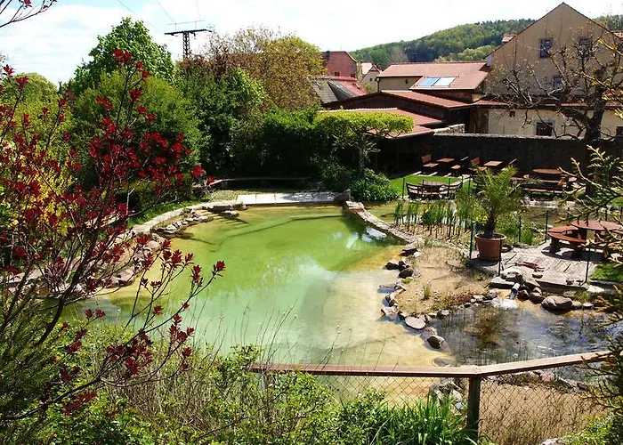 Hotel Landhotel Gut Wildberg Mit Badeteich Und Grossem Garten Meissen